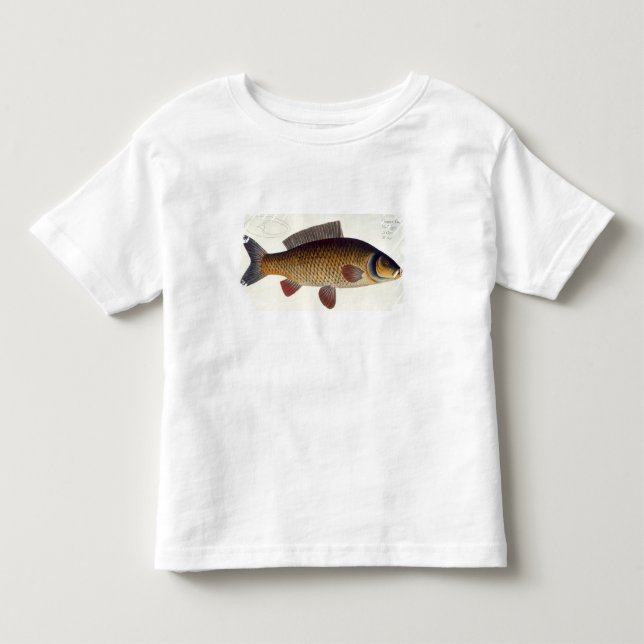 Camiseta De Bebé Placa XVI de la carpa (Cyprinus Carpio) de (Anverso)