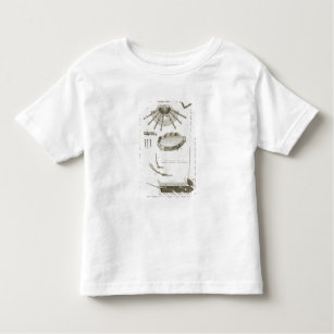 Camiseta De Bebé Placa XX: La extensión y los funcionamientos de