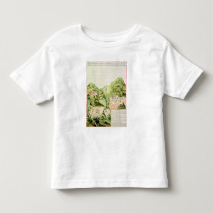 Camiseta De Bebé Plan de las minas de Oaxaca, México, 1785-87