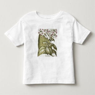 Camiseta De Bebé Planta de tabaco, del "Hortus Eystettensis" por B
