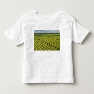 Camiseta De Bebé Plantaciones de caña de azúcar, Guyana