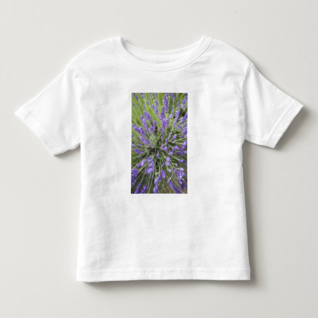 Camiseta De Bebé Plantas de lavanda (Anverso)