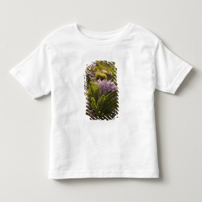 Camiseta De Bebé Plantas del desierto de Chihuahua en flor (Anverso)