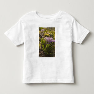 Camiseta De Bebé plantas del desierto de Chihuahuan en flor