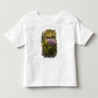plantas del desierto de Chihuahuan en flor