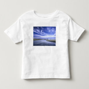 Camiseta De Bebé PLAYA POPHAM STATE PARK, MAINE. EE. UU. Cirrus