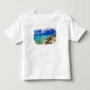 Camiseta De Bebé Playas, Barahona, República Dominicana, 3