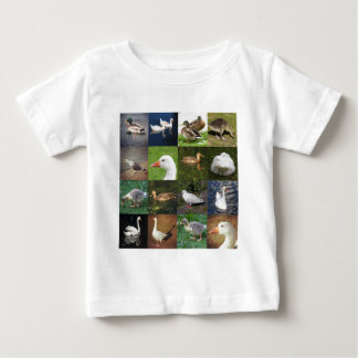 Camiseta De Bebé Plaza de la fotografía - Aves