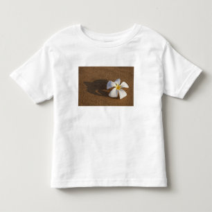 Camiseta De Bebé Plumeria en playa de arena, Maui, Hawái, EE. UU.