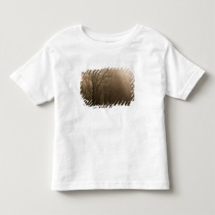 Camiseta De Bebé PNP Monte Smoky EE. UU. Tennessee árboles en