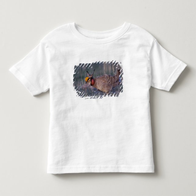 Camiseta De Bebé Pollito de pradera menor, Tympanuchus (Anverso)