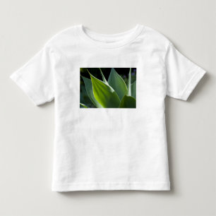 Camiseta De Bebé Portugal, Isla de Madeira, Funchal. Botánico