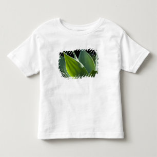 Camiseta De Bebé Portugal, Isla de Madeira, Funchal. Botánico