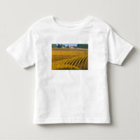 Posada de nogal negro con aspecto toscano sobre