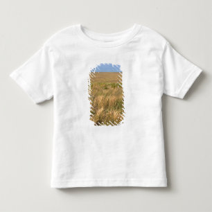Camiseta De Bebé Pradera de pastizales al este de Sidney, Nebraska.