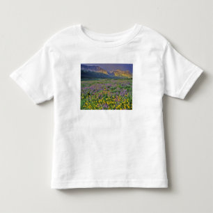 Camiseta De Bebé Prado de flores silvestres en Many glacier