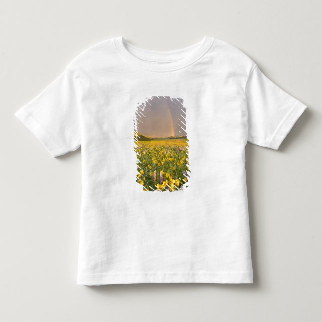 Camiseta De Bebé Prado de flores silvestres espectacular al amanece (Anverso)