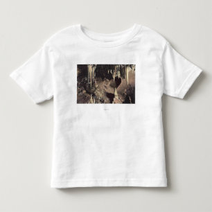 Camiseta De Bebé Primaveras de Manitou, Colorado - la cámara