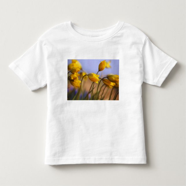 Camiseta De Bebé Primer de narcisos (Anverso)