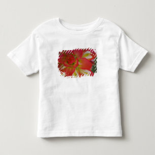 Camiseta De Bebé Primer plano de Indian Paint Brush cerca de Gay Hi