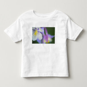 Camiseta De Bebé Primer plano de la flor de Aquilegia de Colorado.