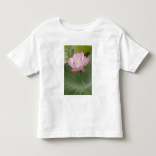 Camiseta De Bebé Primer plano de la flor de loto, Nelumbo nucifera)