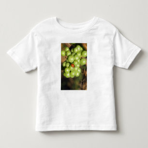 Camiseta De Bebé Primer plano de mariquita en uvas verdes Pinot Noi