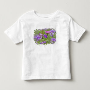 Camiseta De Bebé Primer plano de Phlox de Drummond, Phlox drummondi