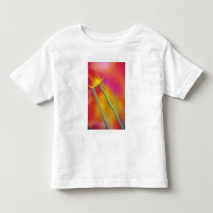 Camiseta De Bebé Primer plano del envés de la flor de tulipán,