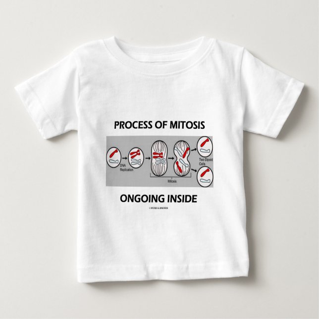 Camiseta De Bebé Proceso De Mitosis En Curso En El Interior (Anverso)