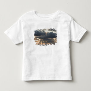 Camiseta De Bebé Provincetown, Massachusetts
