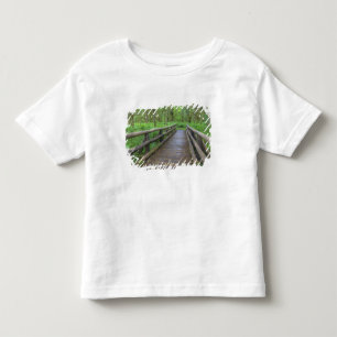 Camiseta De Bebé puente de madera Maple Glade trail, helechos y