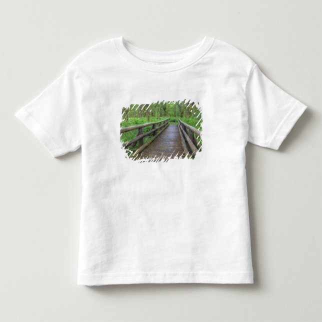 Camiseta De Bebé puente de madera Maple Glade trail, helechos y (Anverso)