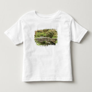 Camiseta De Bebé Puente de piedra viejo a través de una corriente