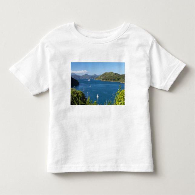 Camiseta De Bebé Puerto Picton, Sonidos Marlborough, Sur (Anverso)