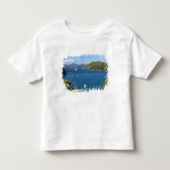 Camiseta De Bebé Puerto Picton, Sonidos Marlborough, Sur (Anverso)