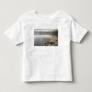 Camiseta De Bebé Puesta de sol a través de la niebla sobre el esta