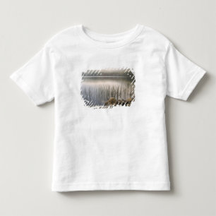 Camiseta De Bebé Puesta de sol a través de la niebla sobre Upper Ha