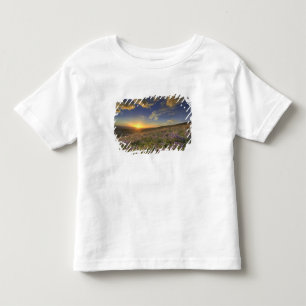 Camiseta De Bebé Puesta de sol sobre las montañas Bitterroot y vast