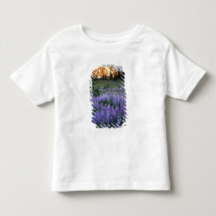 Camiseta De Bebé Puesta de sol sobre Mt. Adams y un prado subalpino