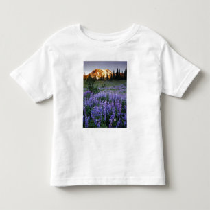 Camiseta De Bebé Puesta de sol sobre Mt. Adams y un prado subalpino