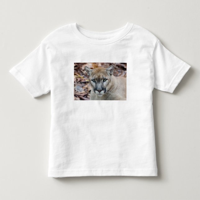 Camiseta De Bebé Puma, león de montaña, pantera de Florida, Puma (Anverso)