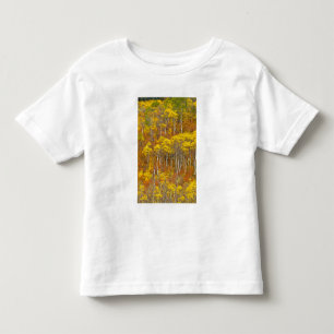 Camiseta De Bebé Quaking aspen grove en color pico de otoño en
