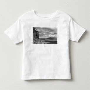 Camiseta De Bebé Quemaduras, opinión de Oregon de la fotografía d