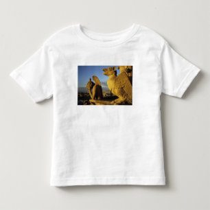Camiseta De Bebé Quimera, Catedral de Notre Dame, París, Francia