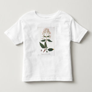 Camiseta De Bebé Quino de "Phytographie Medicale" por el Ro de Jos