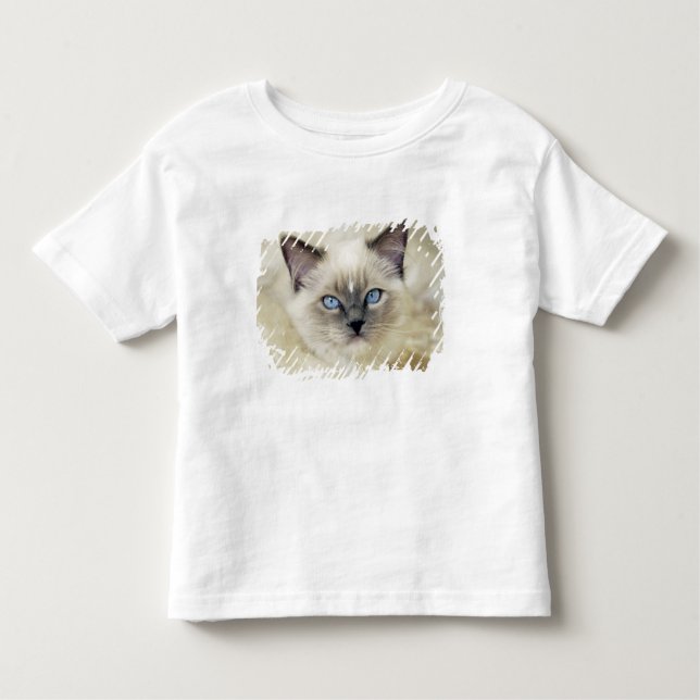 Camiseta De Bebé Ragdoll kitten (Anverso)