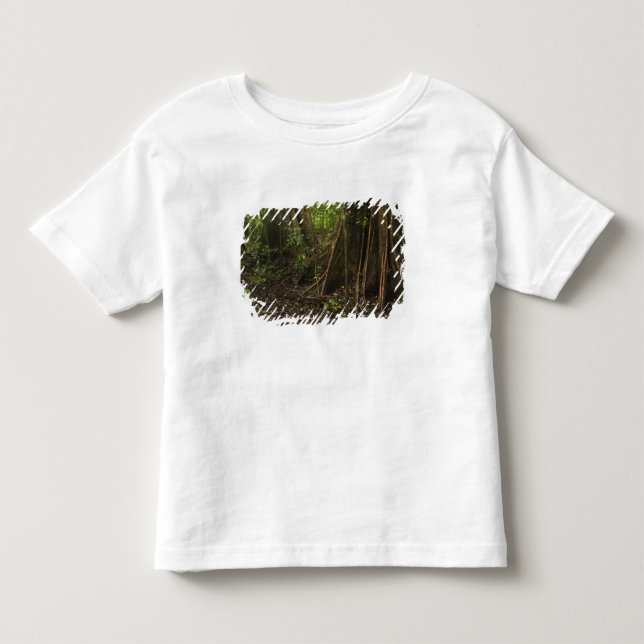 Camiseta De Bebé Raíces Contrafuerte. Selva Tropical, Mapari Rupunu (Anverso)