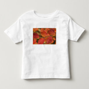 Camiseta De Bebé Rama cubierta de hojas de otoño