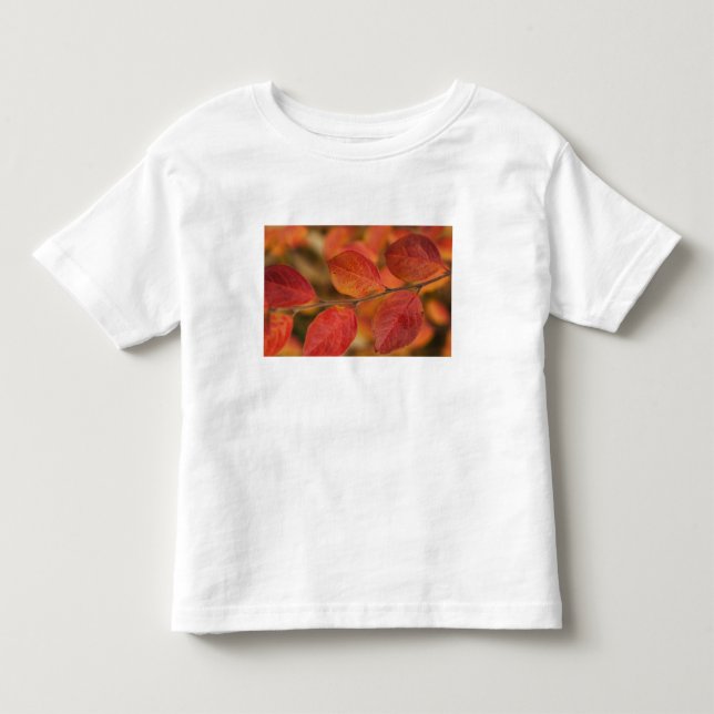 Camiseta De Bebé Rama cubierta de hojas de otoño (Anverso)